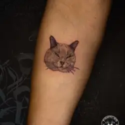 Pantera Tattoo Studio
