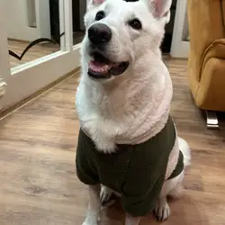 Veterinary Hospital