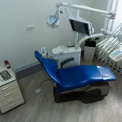 Бодідент