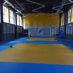 Школа дзюдо Георгія Зантарая