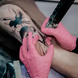 VeАn