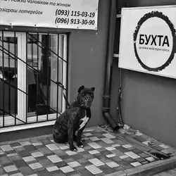 Бухта