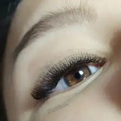 Василина Перевозна
