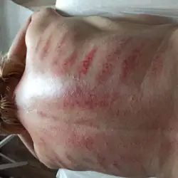 Галина Щипова