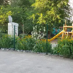Мішкіна школа