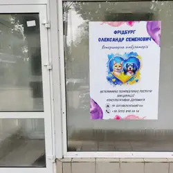 Фрідбург Олександр Семенович Ветеринарна терапія