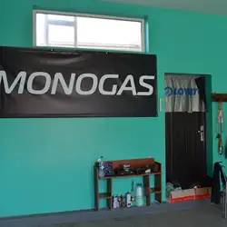 Monogas — Крижанівка
