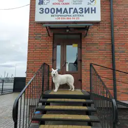 ВетЄвроЛаб