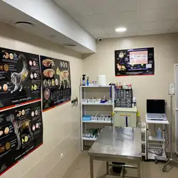 Vet+