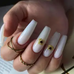 Kit Nails Kr