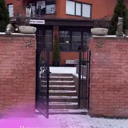 Moon Laser Studio