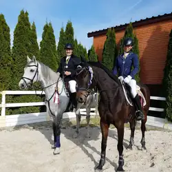 Кінний клуб Silver Foal — Кременчук