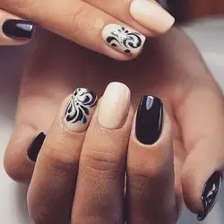 Bella Donna