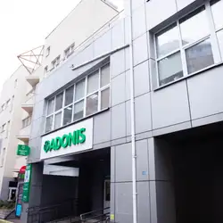 Медичний центр ADONIS - Раїси Окіпної