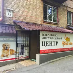 Рудий Кіт - проспект Науки