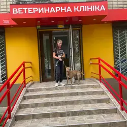 Ветеринарна клініка Фенікс
