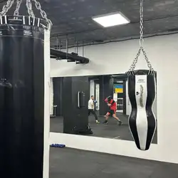 Phoenix boxing club