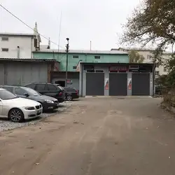 Svleomotors