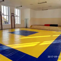 Айкідо Гатана Рю