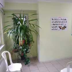 Eurovet+