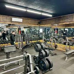 AB Fitness
