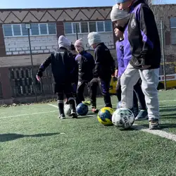Pro