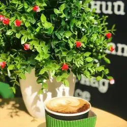 Кав'ярня Mama coffee — Київ