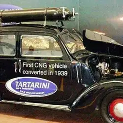 Tartarini