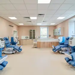 DIAVITA INSTITUTE