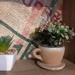 Кав'ярня Coffee Bean — Київ