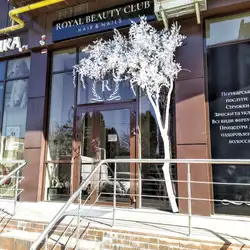 Royal Beauty Club
