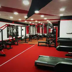 Global Fit