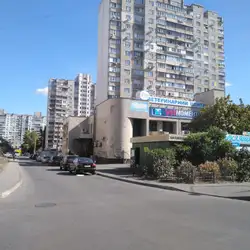 Друг - Лариси Руденко