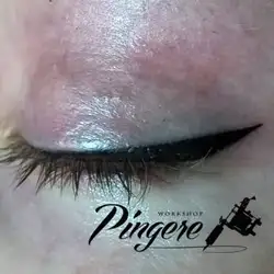 Pingere Workshop — Київ