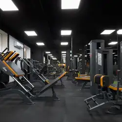 Animal Gym - Євгена Коновальця