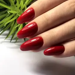 Марина Присяжнюк