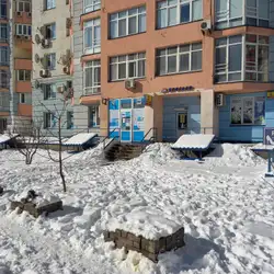 Діла - Київ, Юлії Здановської