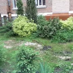 Ліцей №17 — Хмельницький