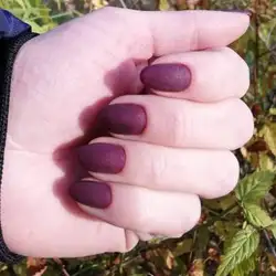 Акваріум