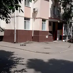 Айболит