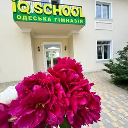 IQ SCHOOL - Травневий провулок