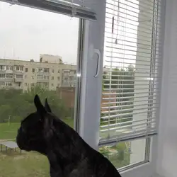РКС