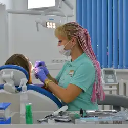 Dentaris
