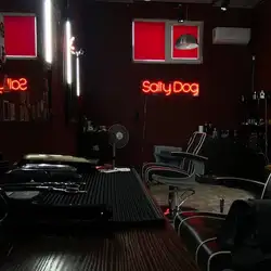 Saltydog