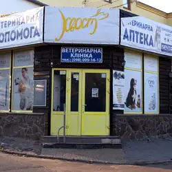 Хвіст