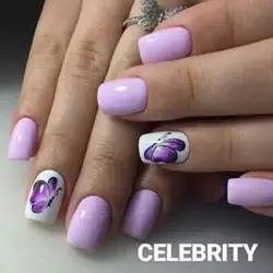 Celebrity