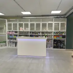 Звірополіс - Січових Стрільців