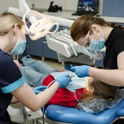 ROYAL DENTAL - Військова