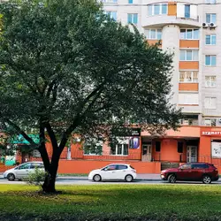 Західний центр лікування ран
