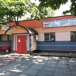 Редфокс